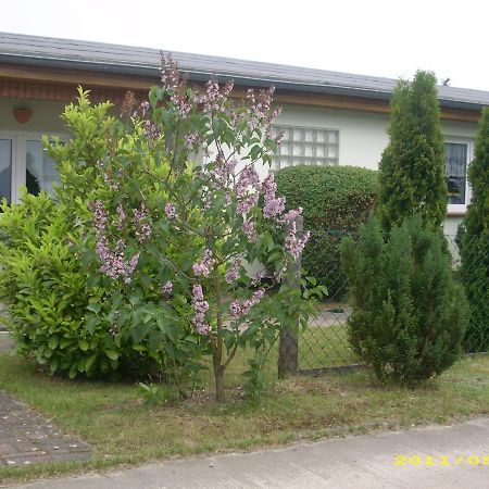 Ferienhaus Am Neuklostersee Dış mekan fotoğraf