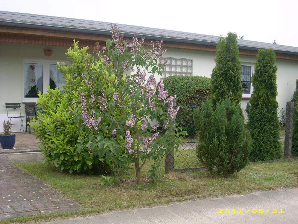 Ferienhaus Am Neuklostersee Dış mekan fotoğraf